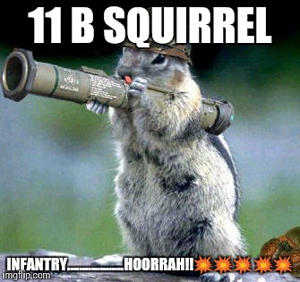 Bazooka Squirrel | 11 B SQUIRREL; INFANTRY...................HOORRAH!!💥💥💥💥💥 | image tagged in memes,bazooka squirrel | made w/ Imgflip meme maker