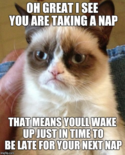 Grumpy Cat Meme | OH GREAT I SEE YOU ARE TAKING A NAP; THAT MEANS YOULL WAKE UP JUST IN TIME TO BE LATE FOR YOUR NEXT NAP | image tagged in memes,grumpy cat | made w/ Imgflip meme maker