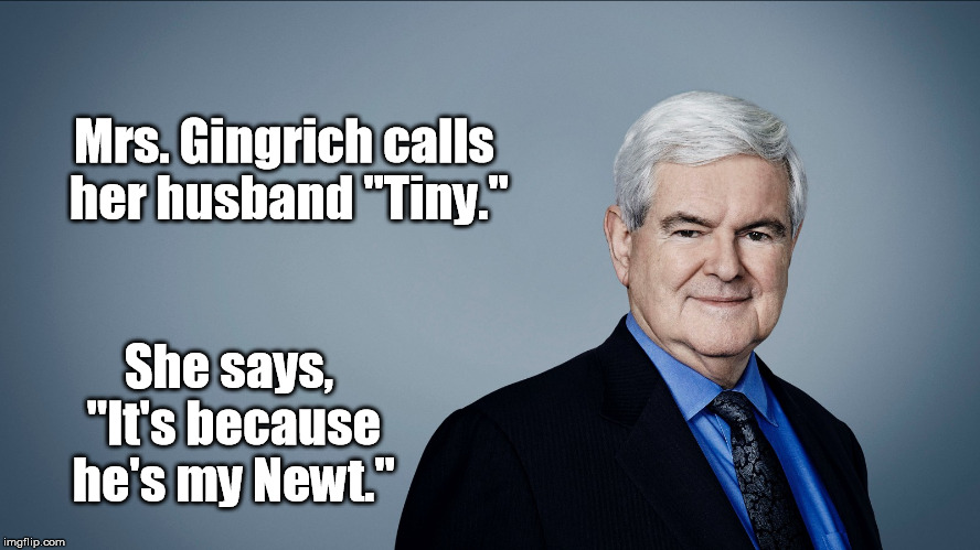 This One May Take a Minute... | Mrs. Gingrich calls her husband "Tiny."; She says, "It's because he's my Newt." | image tagged in newt,newt gingrich,minute,tiny | made w/ Imgflip meme maker