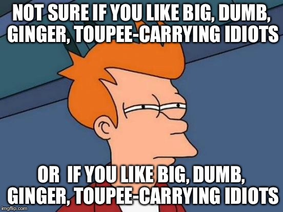 Futurama Fry Meme | NOT SURE IF YOU LIKE BIG, DUMB, GINGER, TOUPEE-CARRYING IDIOTS OR  IF YOU LIKE BIG, DUMB, GINGER, TOUPEE-CARRYING IDIOTS | image tagged in memes,futurama fry | made w/ Imgflip meme maker