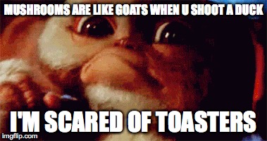 MUSHROOMS ARE LIKE GOATS WHEN U SHOOT A DUCK; I'M SCARED OF TOASTERS | image tagged in memes | made w/ Imgflip meme maker