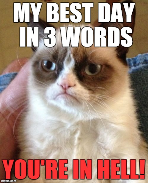Grumpy Cat | MY BEST DAY IN 3 WORDS; YOU'RE IN HELL! | image tagged in memes,grumpy cat | made w/ Imgflip meme maker