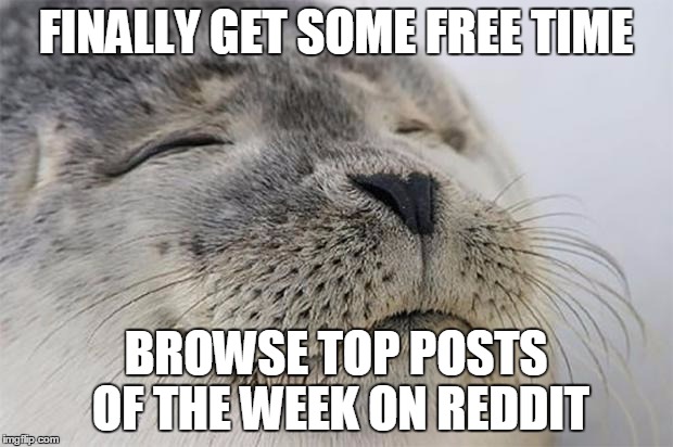 Satisfied Seal | FINALLY GET SOME FREE TIME; BROWSE TOP POSTS OF THE WEEK ON REDDIT | image tagged in memes,satisfied seal | made w/ Imgflip meme maker