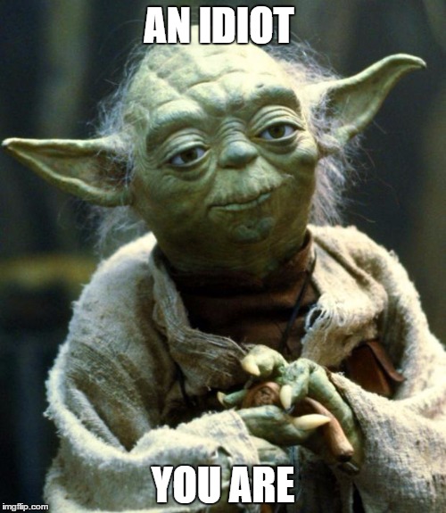 Star Wars Yoda | AN IDIOT; YOU ARE | image tagged in memes,star wars yoda | made w/ Imgflip meme maker