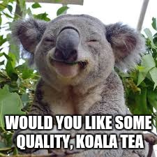 WOULD YOU LIKE SOME QUALITY, KOALA TEA | image tagged in dank koala,memes,tea | made w/ Imgflip meme maker