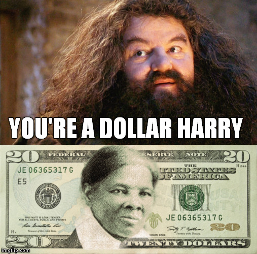 Harry Dollar | YOU'RE A DOLLAR HARRY | image tagged in harry potter,hagrid,wizard,tubman,harriet,dollar | made w/ Imgflip meme maker