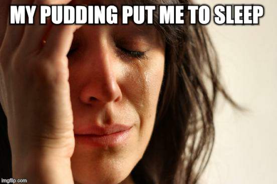 First World Problems Meme | MY PUDDING PUT ME TO SLEEP | image tagged in memes,first world problems | made w/ Imgflip meme maker