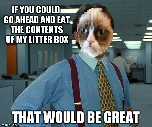 that would be great cat | IF YOU COULD GO AHEAD AND EAT THE CONTENTS OF MY LITTER BOX; THAT WOULD BE GREAT | image tagged in grumpy cat | made w/ Imgflip meme maker