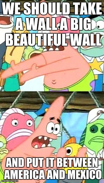 Put It Somewhere Else Patrick Meme | WE SHOULD TAKE A WALL A BIG BEAUTIFUL WALL; AND PUT IT BETWEEN AMERICA AND MEXICO | image tagged in memes,put it somewhere else patrick | made w/ Imgflip meme maker