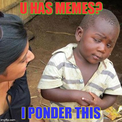 Third World Skeptical Kid Meme | U HAS MEMES? I PONDER THIS | image tagged in memes,third world skeptical kid | made w/ Imgflip meme maker