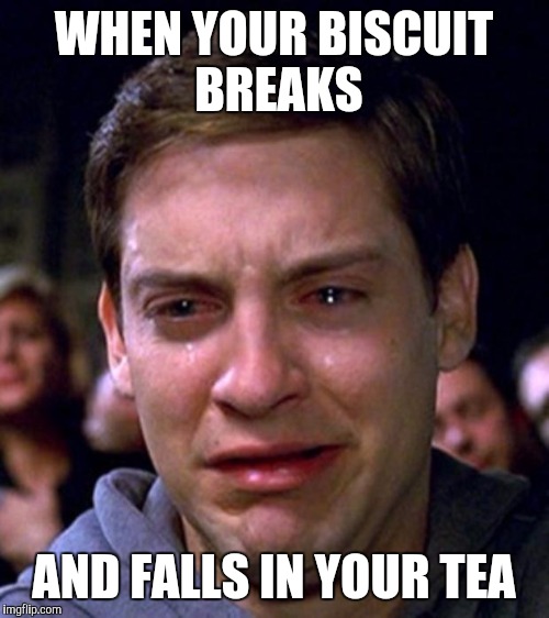 Toby McGuire Tears | WHEN YOUR BISCUIT BREAKS; AND FALLS IN YOUR TEA | image tagged in toby mcguire tears | made w/ Imgflip meme maker