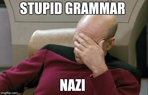 Captain Picard Facepalm Meme | STUPID GRAMMAR NAZI | image tagged in memes,captain picard facepalm | made w/ Imgflip meme maker