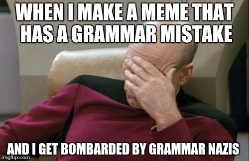 Captain Picard Facepalm Meme |  WHEN I MAKE A MEME THAT HAS A GRAMMAR MISTAKE; AND I GET BOMBARDED BY GRAMMAR NAZIS | image tagged in memes,captain picard facepalm | made w/ Imgflip meme maker