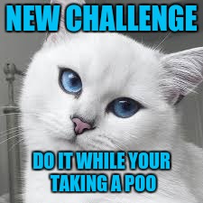 NEW CHALLENGE DO IT WHILE YOUR TAKING A POO | made w/ Imgflip meme maker