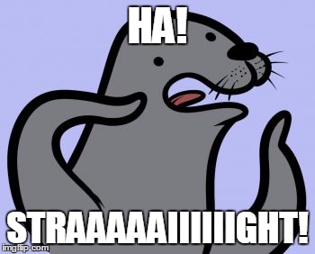 Homophobic Seal | HA! STRAAAAAIIIIIIGHT! | image tagged in memes,homophobic seal | made w/ Imgflip meme maker