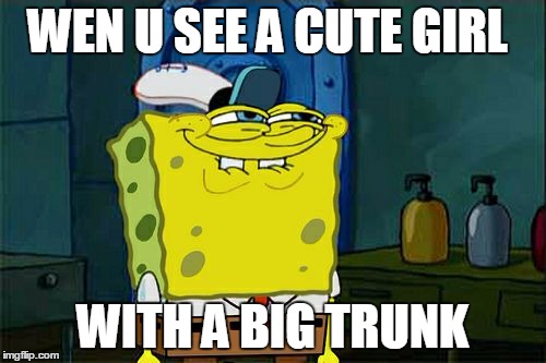 Don't You Squidward | WEN U SEE A CUTE GIRL; WITH A BIG TRUNK | image tagged in memes,dont you squidward | made w/ Imgflip meme maker