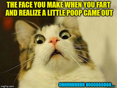Oh crap... | THE FACE YOU MAKE WHEN YOU FART AND REALIZE A LITTLE POOP CAME OUT; OHHHHHHHHH NOOOOOOOOO.... | image tagged in shocked cat,memes | made w/ Imgflip meme maker