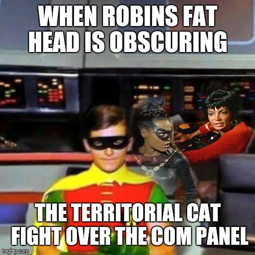 WHEN ROBINS FAT HEAD IS OBSCURING THE TERRITORIAL CAT FIGHT OVER THE COM PANEL | made w/ Imgflip meme maker