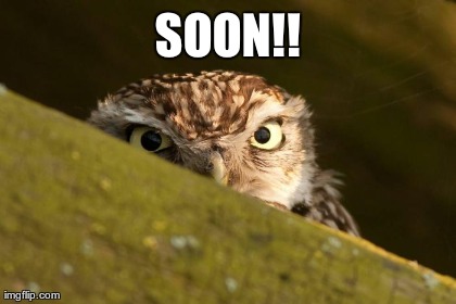 image tagged in funny,soon,owls | made w/ Imgflip meme maker