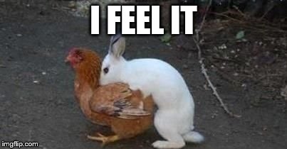 Easter eggs | I FEEL IT | image tagged in easter eggs | made w/ Imgflip meme maker