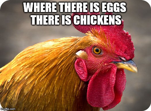 WHERE THERE IS EGGS THERE IS CHICKENS | made w/ Imgflip meme maker