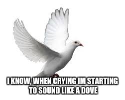 I KNOW, WHEN CRYING IM STARTING TO SOUND LIKE A DOVE | made w/ Imgflip meme maker