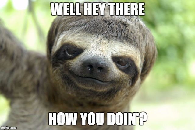 WELL HEY THERE; HOW YOU DOIN'? | image tagged in sloth | made w/ Imgflip meme maker