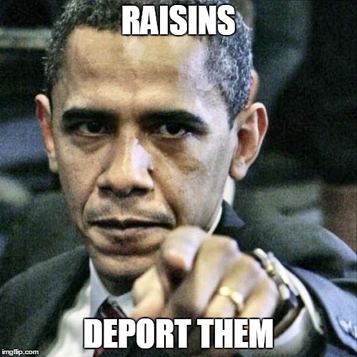 Pissed Off Obama Meme | RAISINS; DEPORT THEM | image tagged in memes,pissed off obama | made w/ Imgflip meme maker