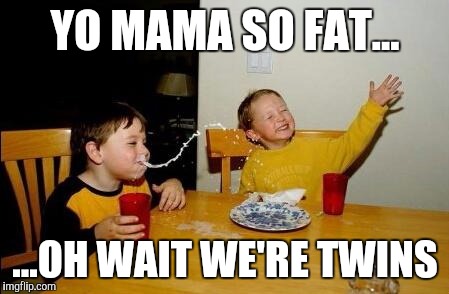 Yo Momma So Fat | YO MAMA SO FAT... ...OH WAIT WE'RE TWINS | image tagged in yo momma so fat | made w/ Imgflip meme maker