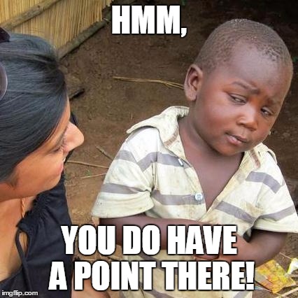 Third World Skeptical Kid Meme | HMM, YOU DO HAVE A POINT THERE! | image tagged in memes,third world skeptical kid | made w/ Imgflip meme maker