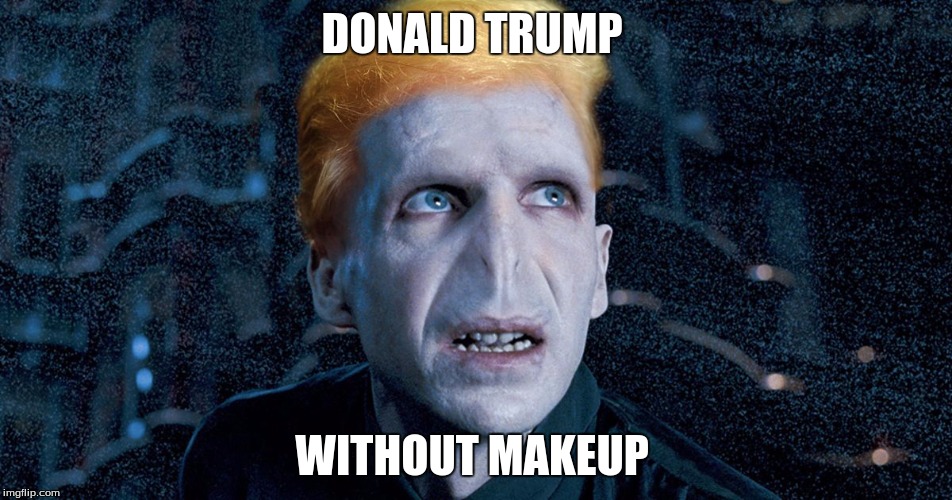 ihuj | DONALD TRUMP; WITHOUT MAKEUP | image tagged in memes | made w/ Imgflip meme maker