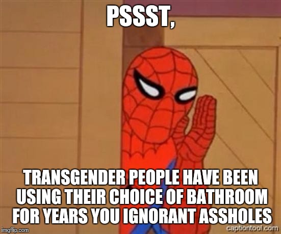 spiderman psst | PSSST, TRANSGENDER PEOPLE HAVE BEEN USING THEIR CHOICE OF BATHROOM FOR YEARS YOU IGNORANT ASSHOLES | image tagged in spiderman psst | made w/ Imgflip meme maker
