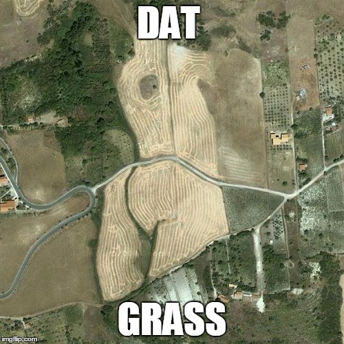 DAT GRASS | DAT; GRASS | image tagged in dat ass,grass,wheath field | made w/ Imgflip meme maker