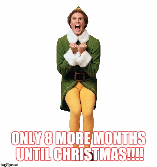 Christmas Elf | ONLY 8 MORE MONTHS UNTIL CHRISTMAS!!!! | image tagged in christmas elf | made w/ Imgflip meme maker