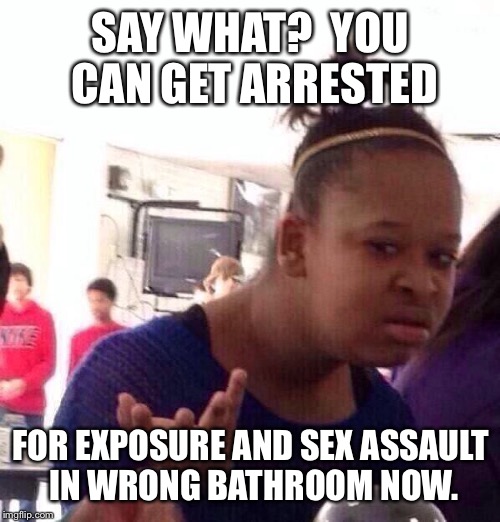 Black Girl Wat Meme | SAY WHAT?  YOU CAN GET ARRESTED FOR EXPOSURE AND SEX ASSAULT IN WRONG BATHROOM NOW. | image tagged in memes,black girl wat | made w/ Imgflip meme maker