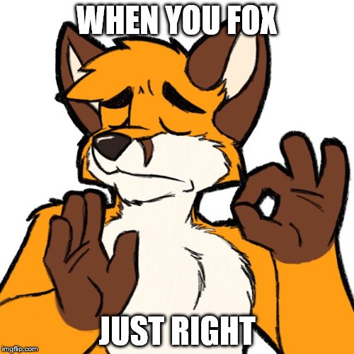 Foxa perfect | WHEN YOU FOX; JUST RIGHT | image tagged in sorry not sorry | made w/ Imgflip meme maker