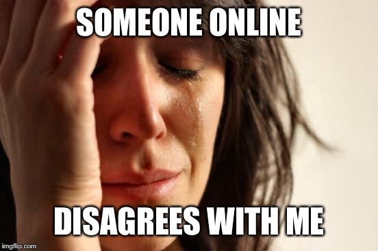 First World Problems Meme | SOMEONE ONLINE; DISAGREES WITH ME | image tagged in memes,first world problems | made w/ Imgflip meme maker