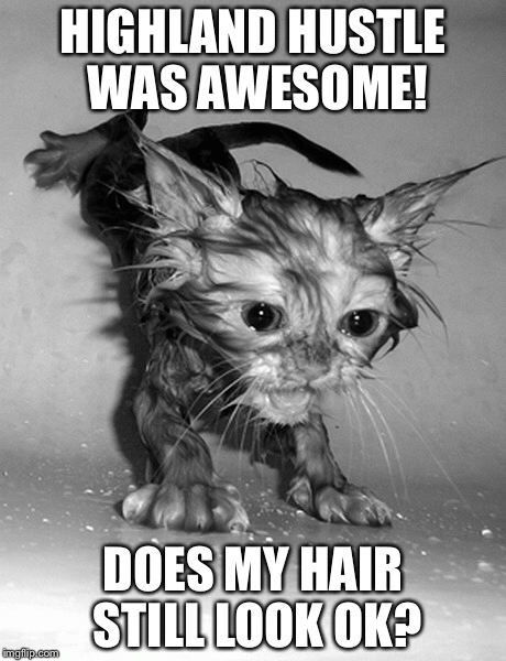 Highland Hustle Cat | HIGHLAND HUSTLE WAS AWESOME! DOES MY HAIR STILL LOOK OK? | image tagged in cat | made w/ Imgflip meme maker