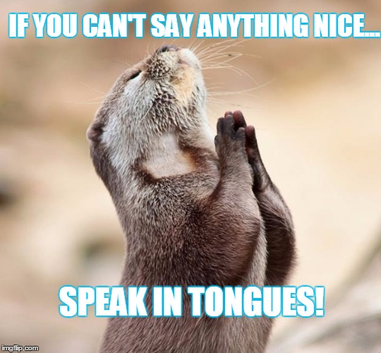 animal praying | IF YOU CAN'T SAY ANYTHING NICE... SPEAK IN TONGUES! | image tagged in animal praying | made w/ Imgflip meme maker