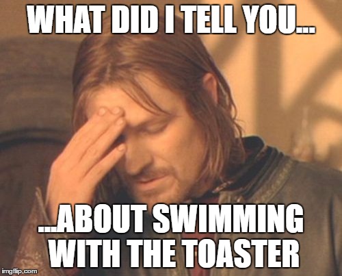 Frustrated Boromir Meme | WHAT DID I TELL YOU... ...ABOUT SWIMMING WITH THE TOASTER | image tagged in memes,frustrated boromir | made w/ Imgflip meme maker