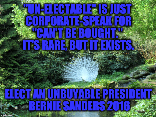 Elect An Unbuyable President | "UN-ELECTABLE" IS JUST CORPORATE-SPEAK FOR "CAN'T BE BOUGHT."  IT'S RARE, BUT IT EXISTS. ELECT AN UNBUYABLE PRESIDENT BERNIE SANDERS 2016 | image tagged in vote bernie sanders,bernie sanders,can't be bought,unbuyable | made w/ Imgflip meme maker