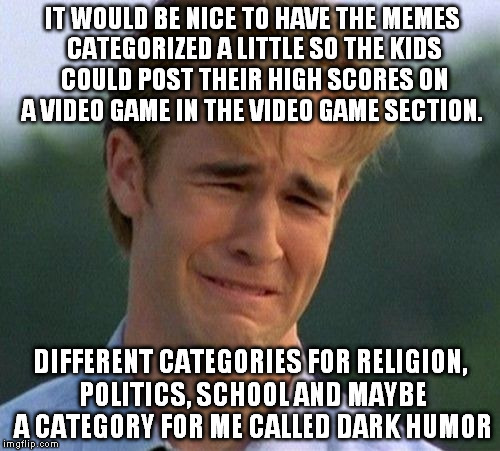 so people know what they're in for | IT WOULD BE NICE TO HAVE THE MEMES CATEGORIZED A LITTLE SO THE KIDS COULD POST THEIR HIGH SCORES ON A VIDEO GAME IN THE VIDEO GAME SECTION. DIFFERENT CATEGORIES FOR RELIGION, POLITICS, SCHOOL AND MAYBE A CATEGORY FOR ME CALLED DARK HUMOR | image tagged in memes,1990s first world problems | made w/ Imgflip meme maker