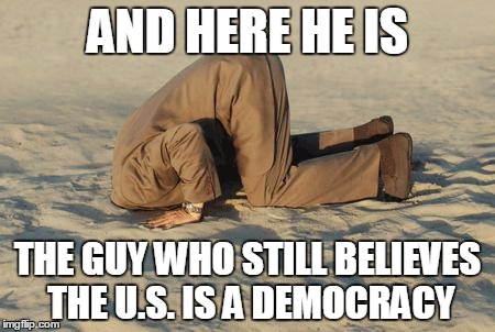 Another Proud Citizen | AND HERE HE IS; THE GUY WHO STILL BELIEVES THE U.S. IS A DEMOCRACY | image tagged in ostrich man | made w/ Imgflip meme maker