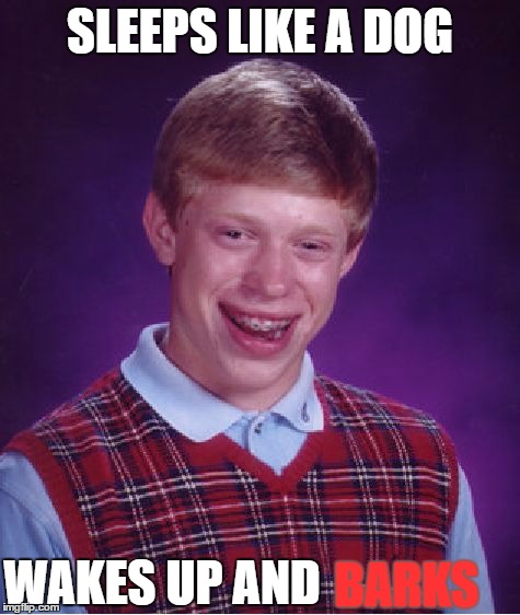 Bad Luck Brian Meme | SLEEPS LIKE A DOG WAKES UP AND BARKS | image tagged in memes,bad luck brian | made w/ Imgflip meme maker