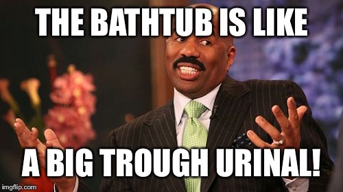 Steve Harvey Meme | THE BATHTUB IS LIKE A BIG TROUGH URINAL! | image tagged in memes,steve harvey | made w/ Imgflip meme maker