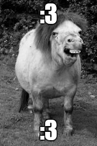 ugly horse | :3; :3 | image tagged in ugly horse | made w/ Imgflip meme maker