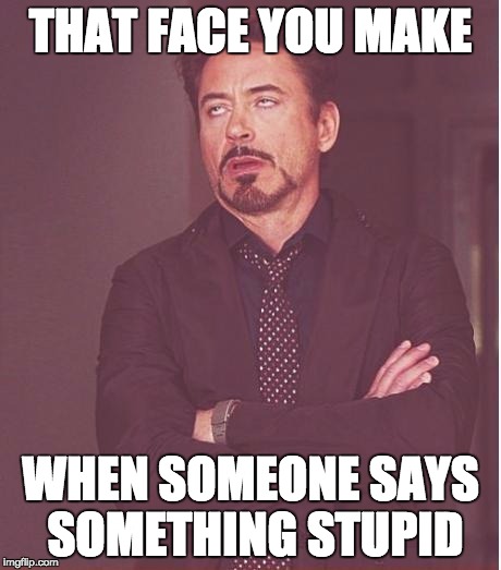Face You Make Robert Downey Jr | THAT FACE YOU MAKE; WHEN SOMEONE SAYS SOMETHING STUPID | image tagged in memes,face you make robert downey jr | made w/ Imgflip meme maker