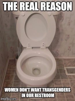 toilet seat up | THE REAL REASON; WOMEN DON'T WANT TRANSGENDERS IN OUR RESTROOM | image tagged in toilet seat up | made w/ Imgflip meme maker