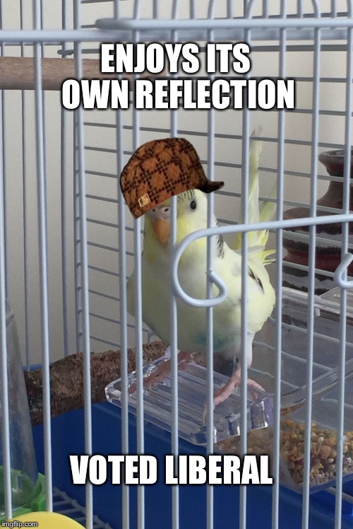 ENJOYS ITS OWN REFLECTION; VOTED LIBERAL | image tagged in scumbag | made w/ Imgflip meme maker