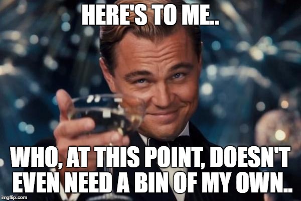 Leonardo Dicaprio Cheers Meme | HERE'S TO ME.. WHO, AT THIS POINT, DOESN'T EVEN NEED A BIN OF MY OWN.. | image tagged in memes,leonardo dicaprio cheers | made w/ Imgflip meme maker